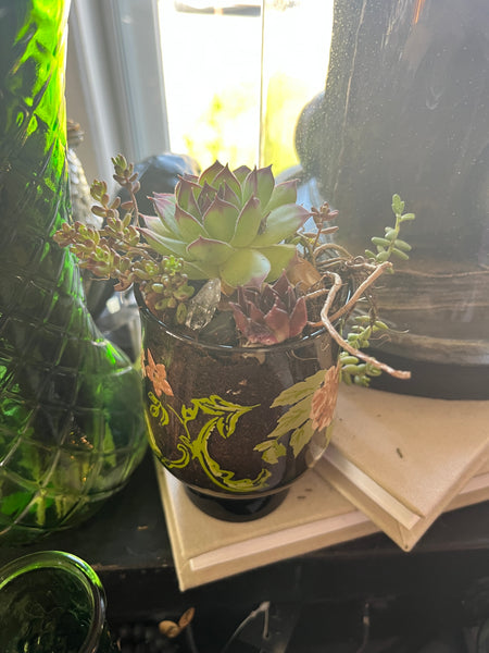 Vintage Terrarium