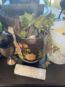 Vintage Terrarium