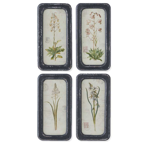 Vintage Style Black Framed Botanical Prints