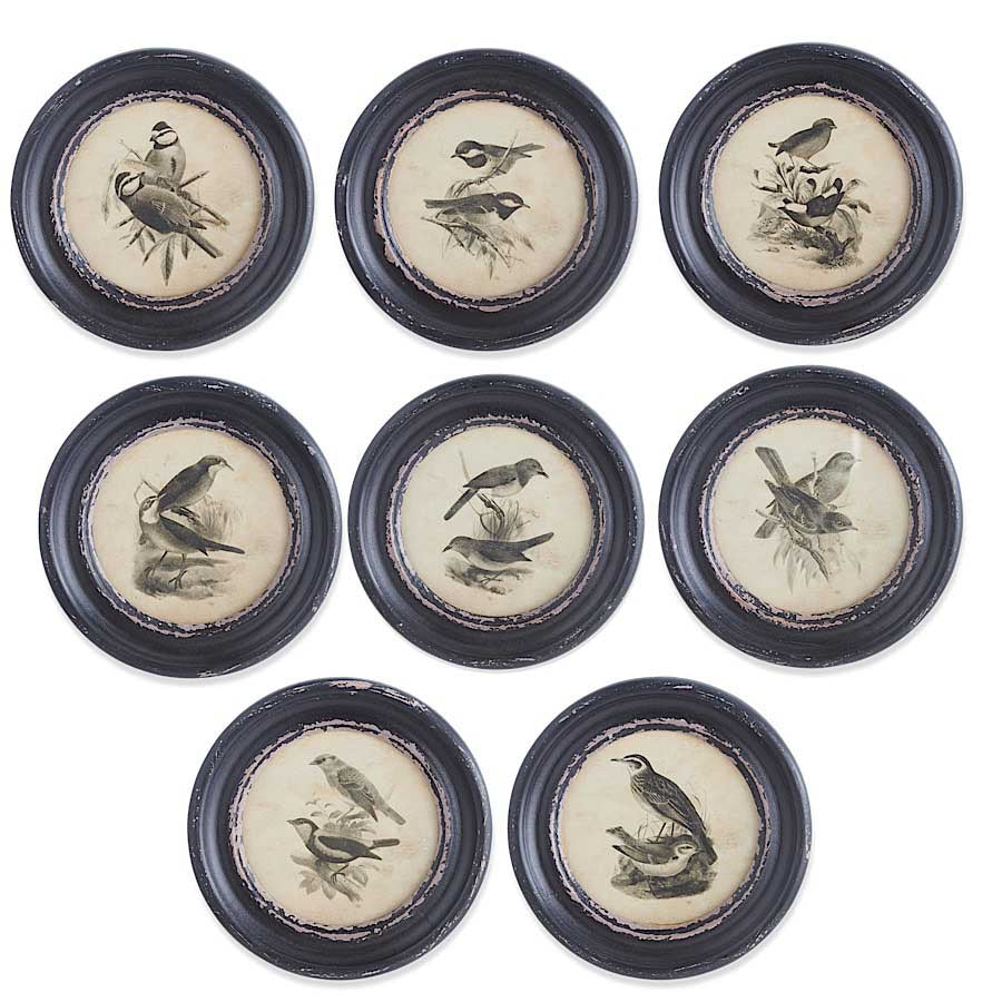 Black Round Framed Bird Prints