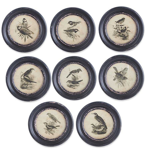 Black Round Framed Bird Prints