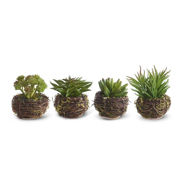 Small Faux Succulent in Twig Pot