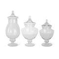 Clear Glass Apothecary Jars