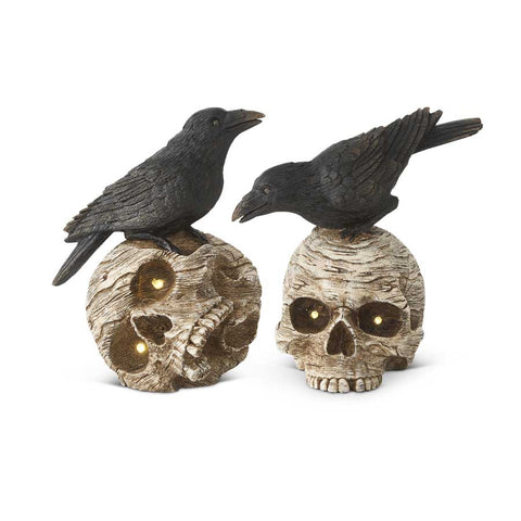 Skulls w/ Crow