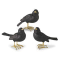 Glittered Black Resin Bird w/ Gold Feet