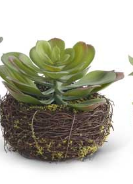 Large Faux Succulent in Twig Pot