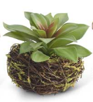 Large Faux Succulent in Twig Pot