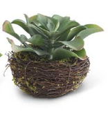 Large Faux Succulent in Twig Pot