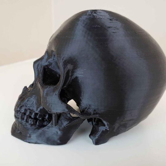 Enviro Skulls