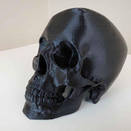 Enviro Skulls