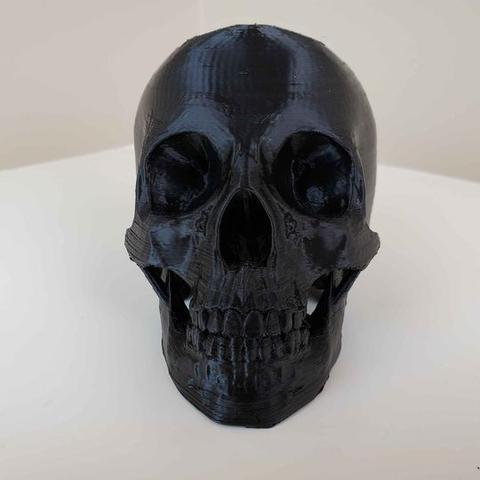 Enviro Skulls