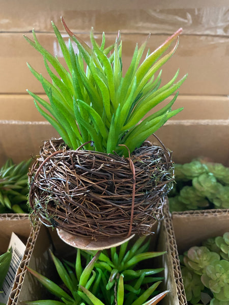 Small Faux Succulent in Twig Pot