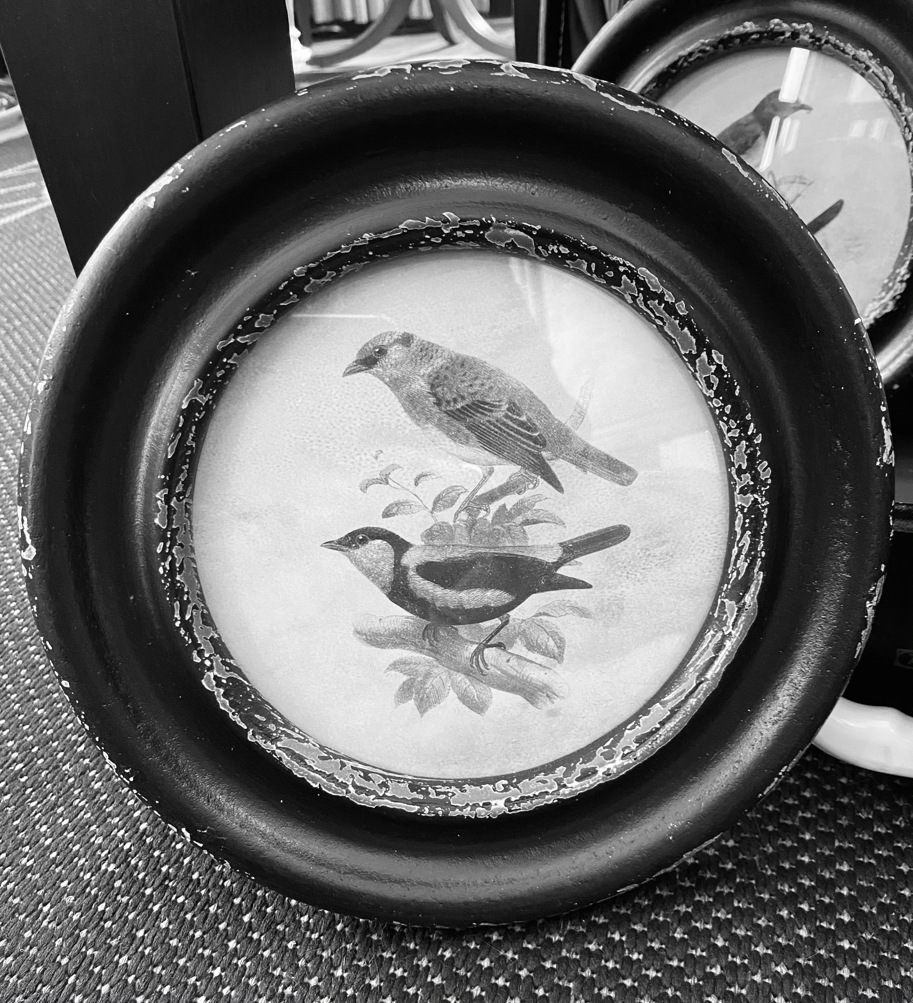 Black Round Framed Bird Prints