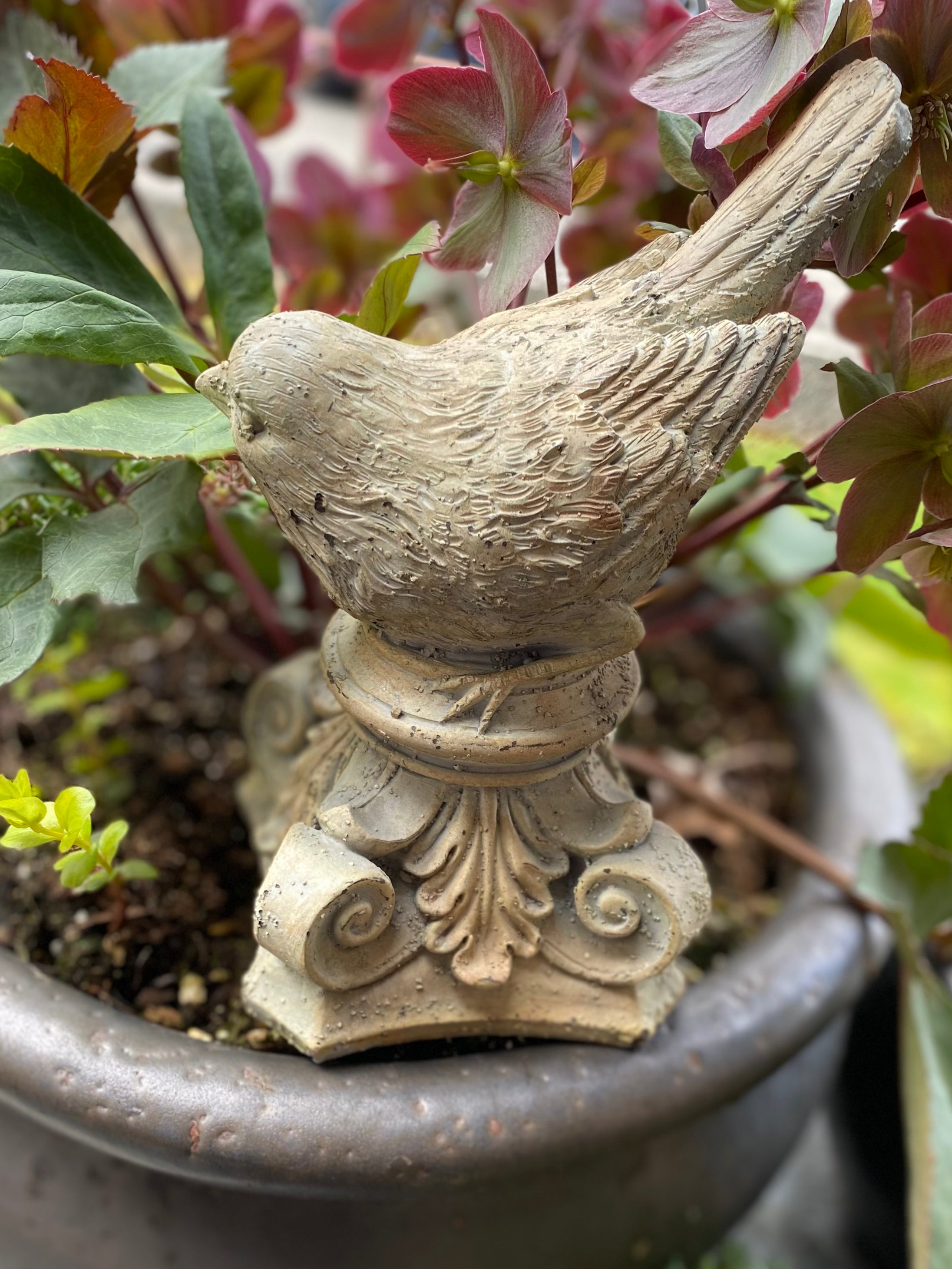 7" Resin Birds on Scroll Pedestals