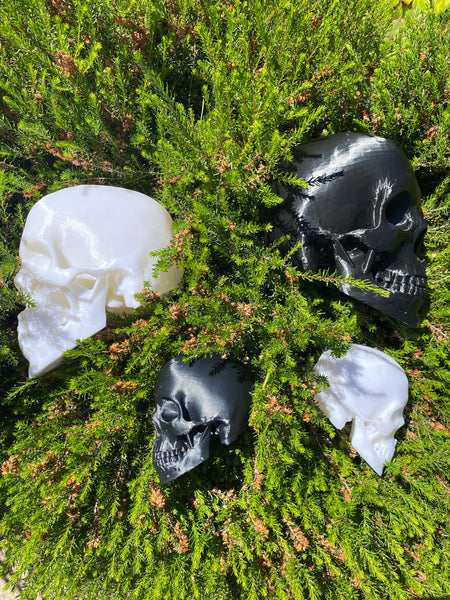 Enviro Skulls