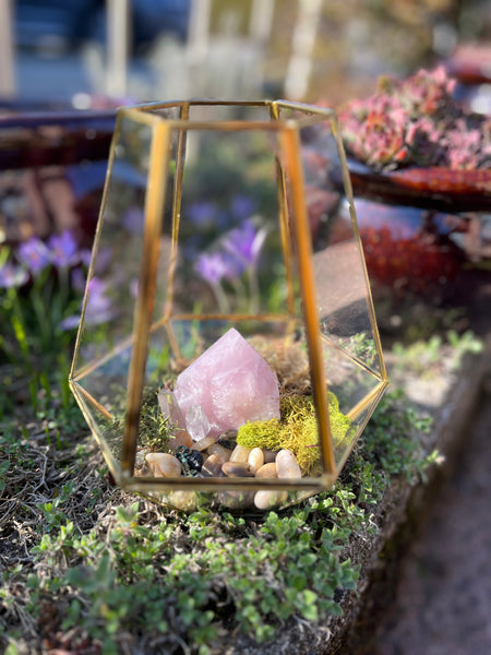 Crystal Rose Quartz Terrarium