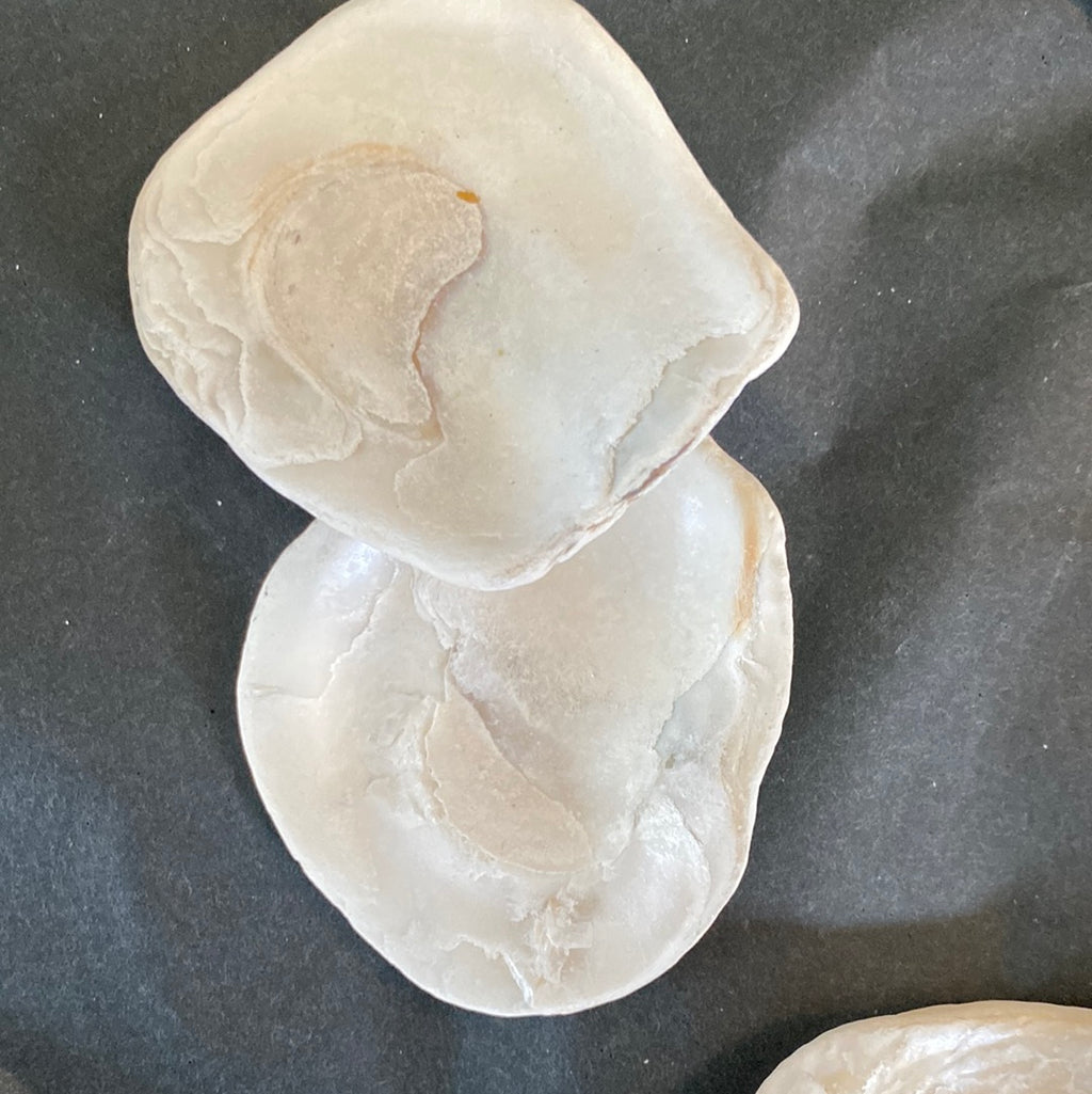 Mermaids Toenails (Shells)