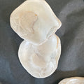 Mermaids Toenails (Shells)