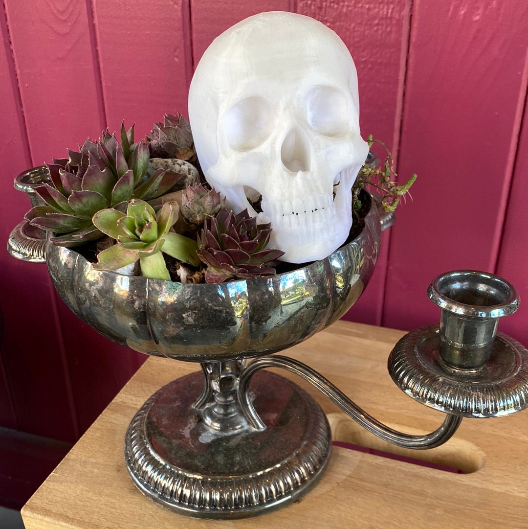 Rose Quartz Succulents in Silver Candle Planter w/ Skull