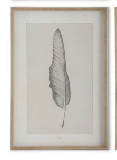 Framed Feather Print