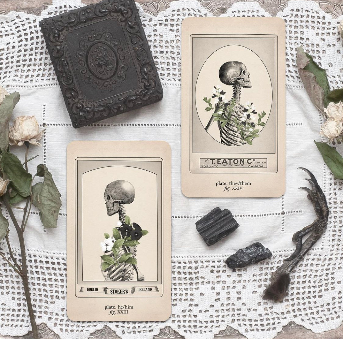 Antique Anatomy Tarot Kit