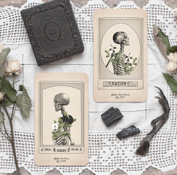 Antique Anatomy Tarot Kit