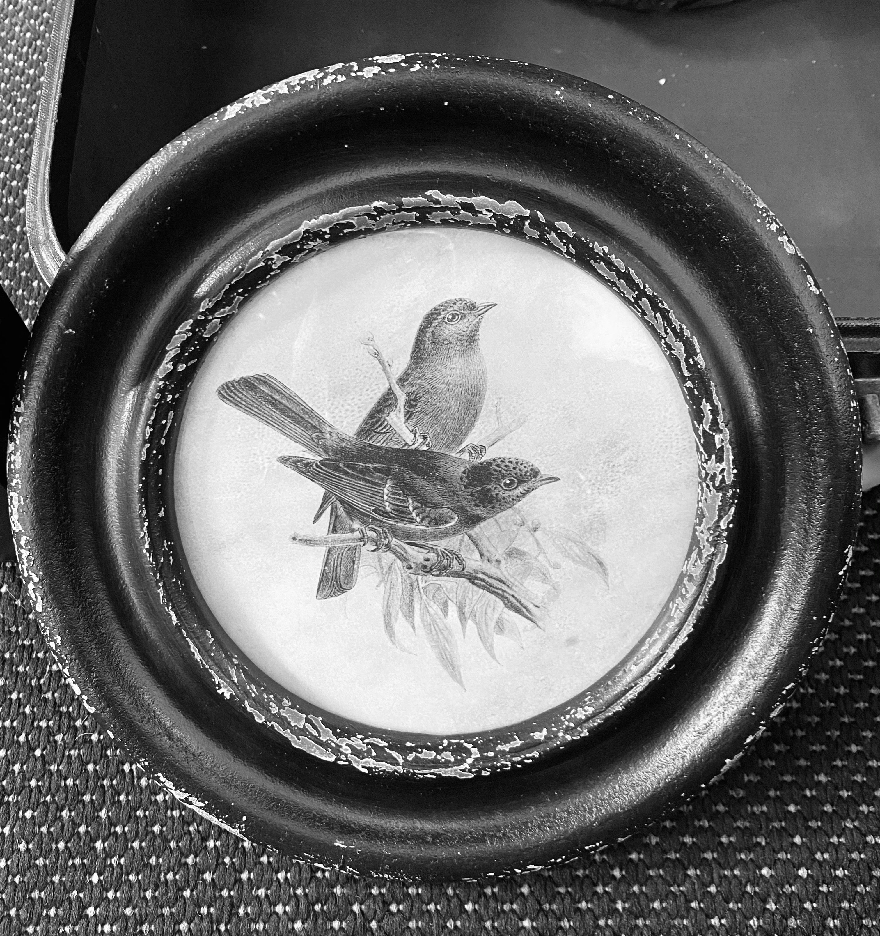 Black Round Framed Bird Prints