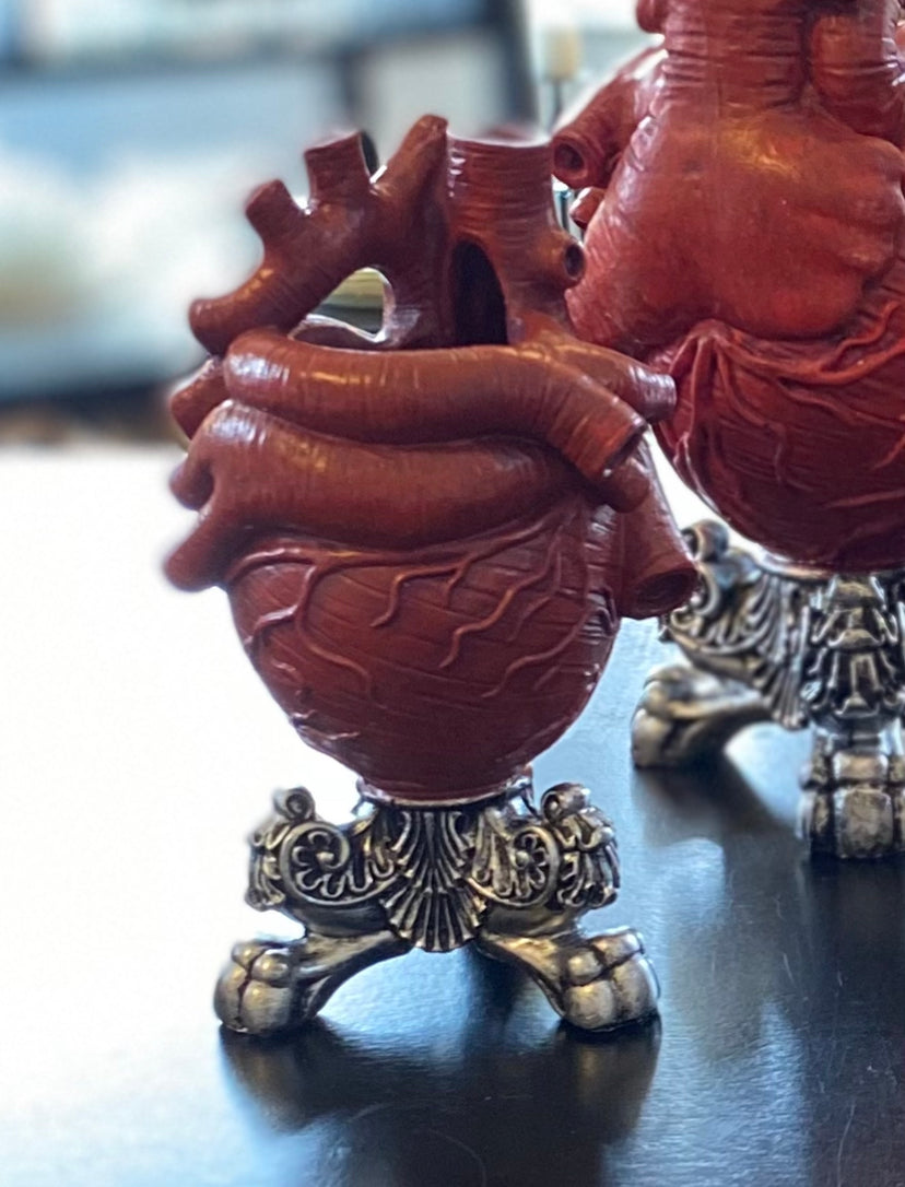 Anatomical Heart Shaped Vase