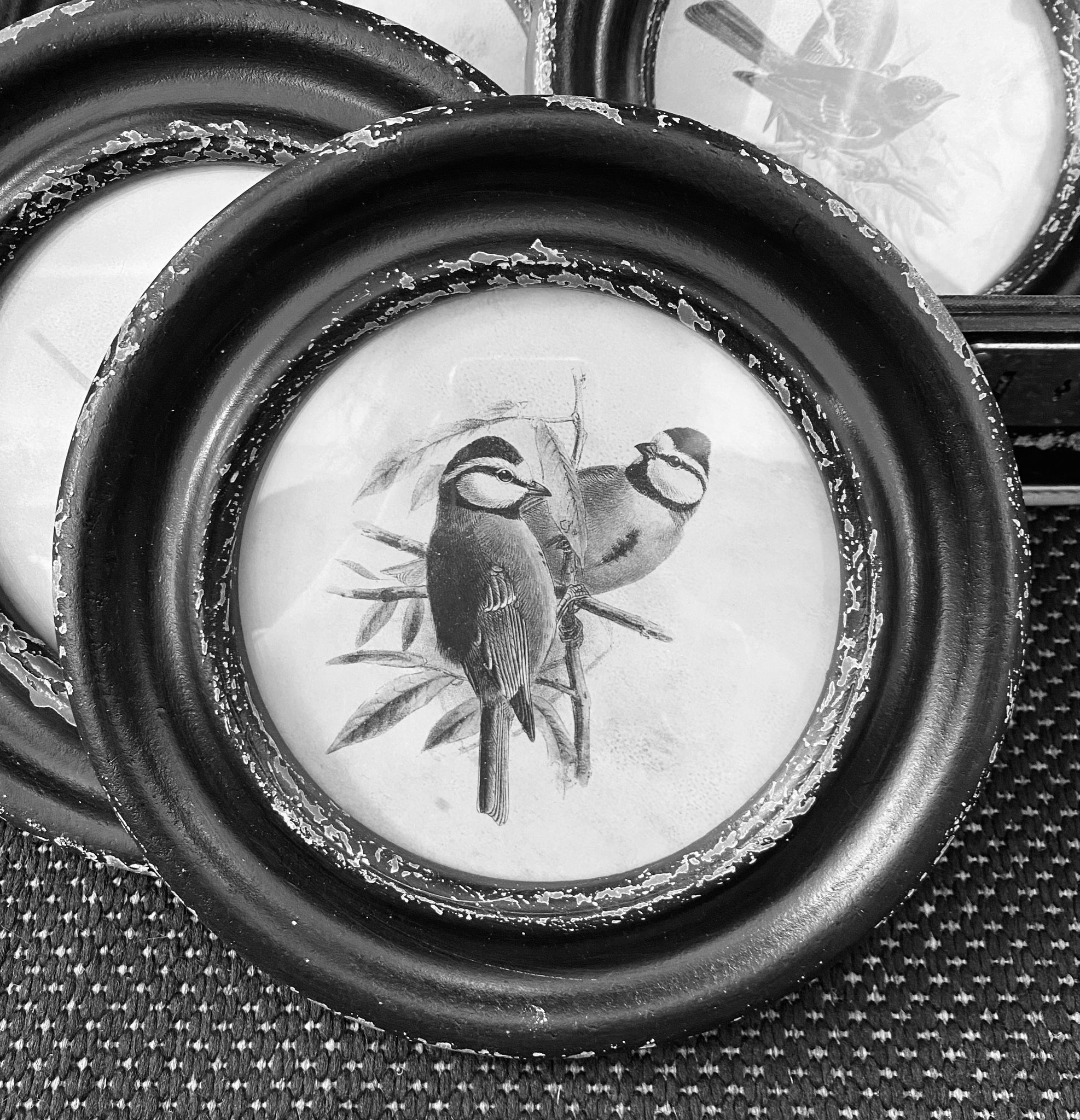 Black Round Framed Bird Prints