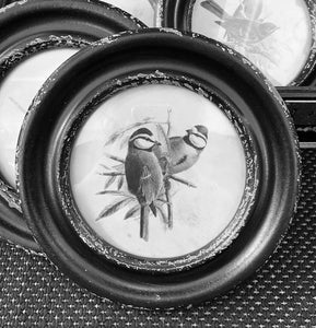 Black Round Framed Bird Prints