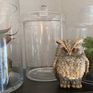 Tall Glass Lidded Jar
