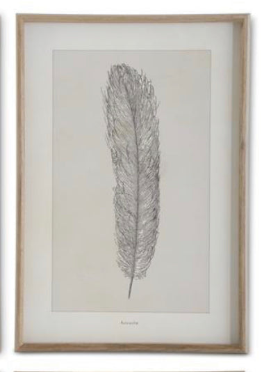 Framed Feather Print