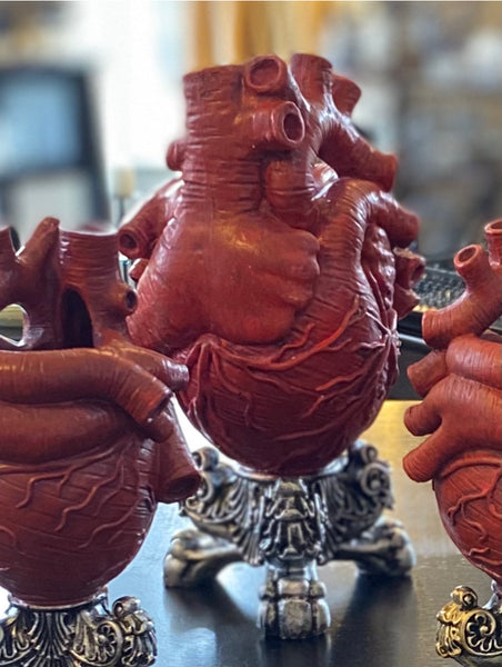 Anatomical Heart Shaped Vase