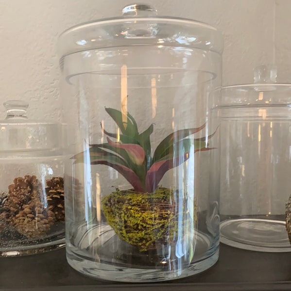 Tall Glass Lidded Jar
