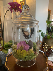 Terrarium w/ Pink Buddha 6"x 14"