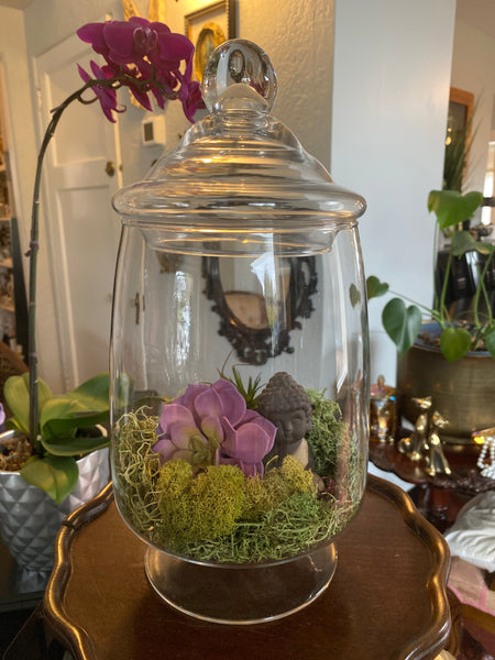 Terrarium w/ Pink Buddha 6"x 14"