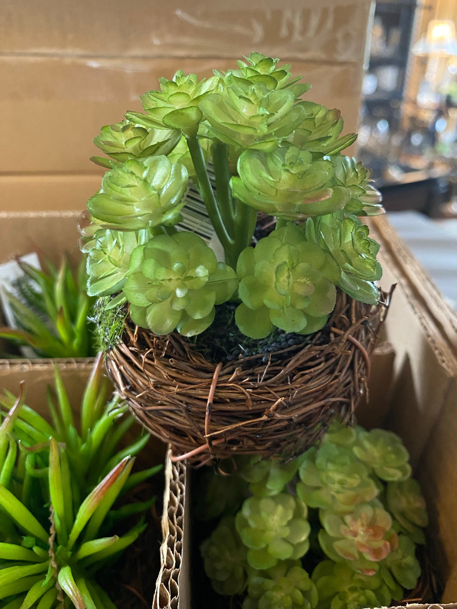 Small Faux Succulent in Twig Pot