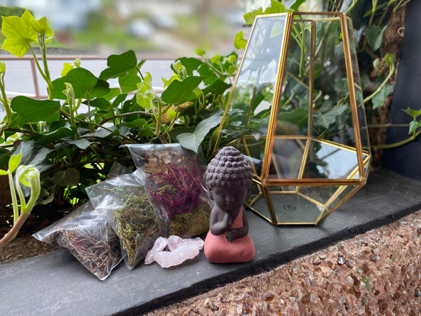 Crystal Rose Quartz Terrarium w/ Buddha Large Kit