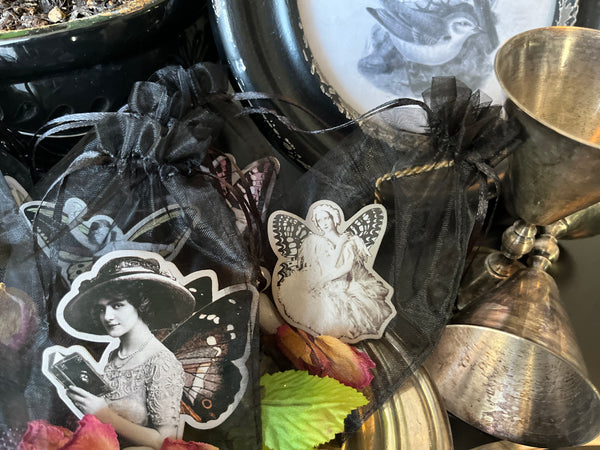 Vintage Fairy Lady Crystal Pouch