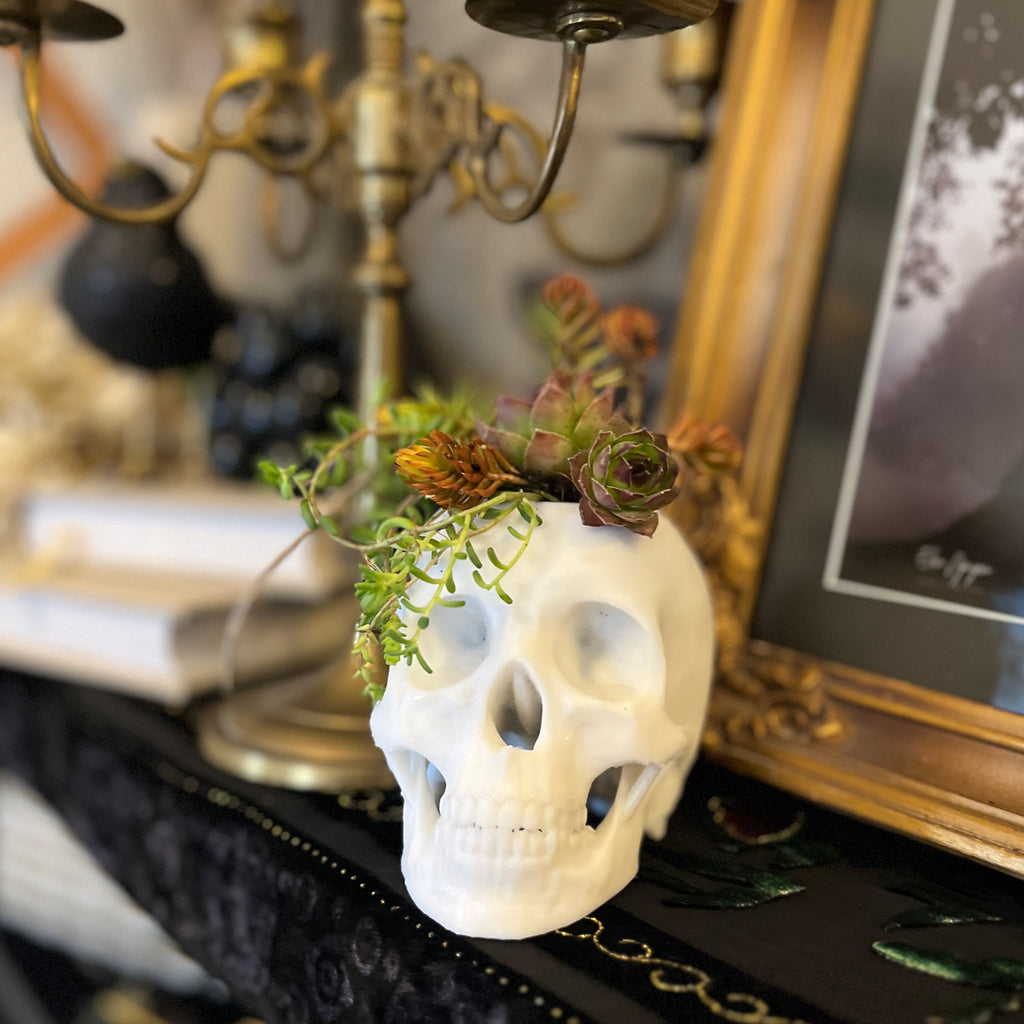 Skull Planter