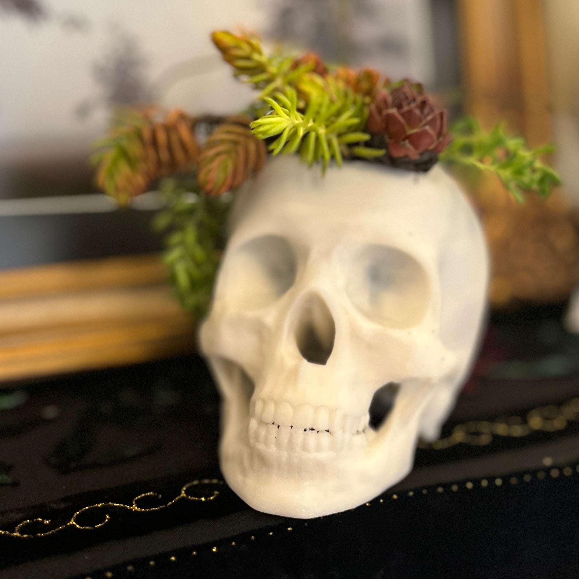 Skull Planter
