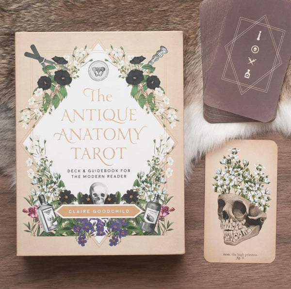 Antique Anatomy Tarot Kit