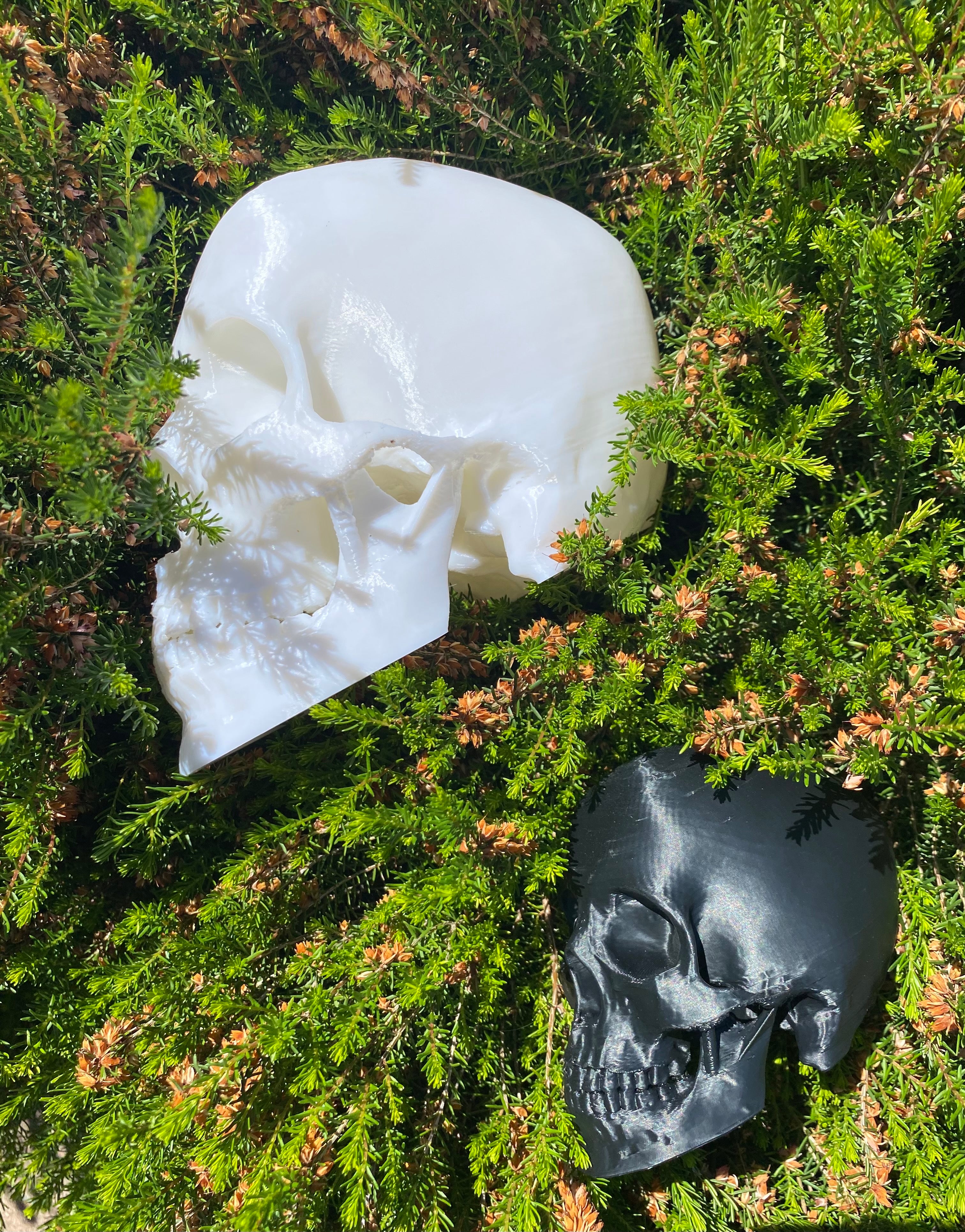 Enviro Skulls