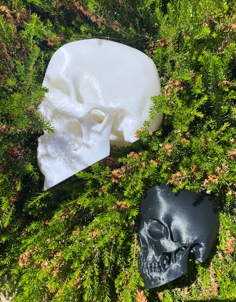 Enviro Skulls