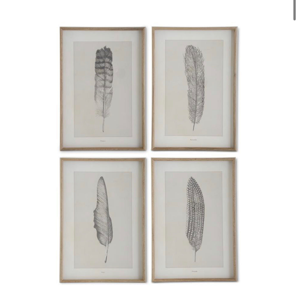 Framed Feather Print