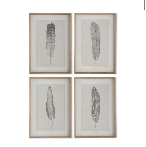 Framed Feather Print