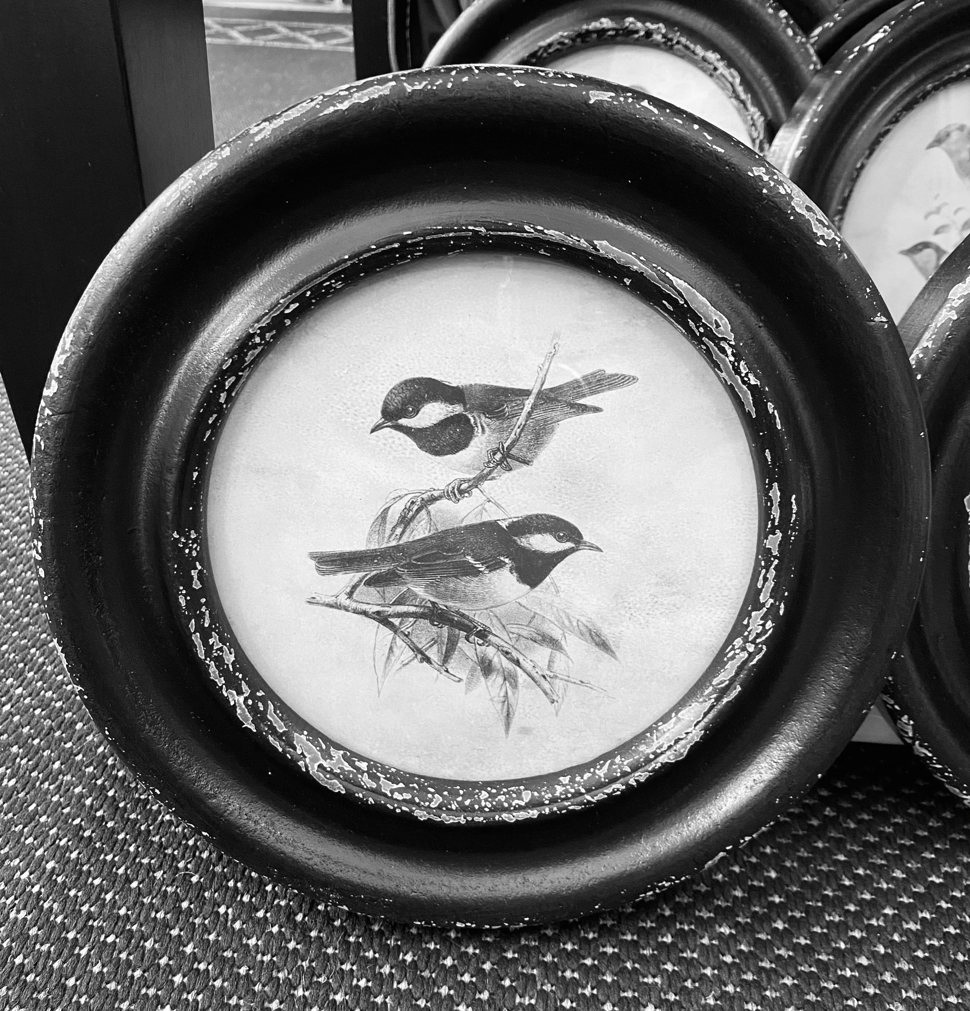 Black Round Framed Bird Prints
