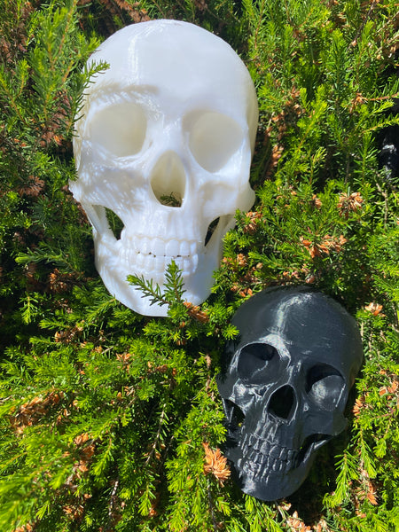 Enviro Skulls