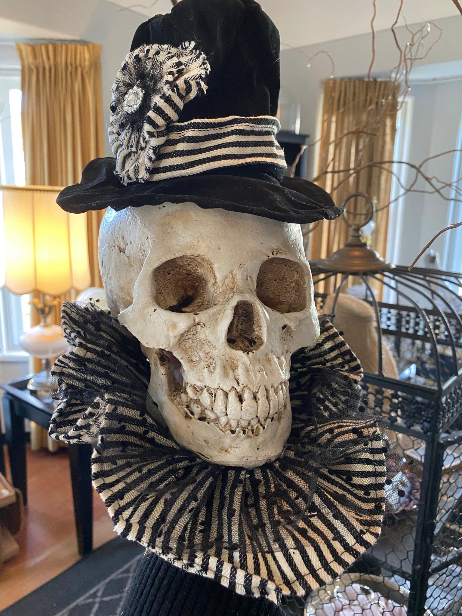 Skull w/ Black Velvet Hat