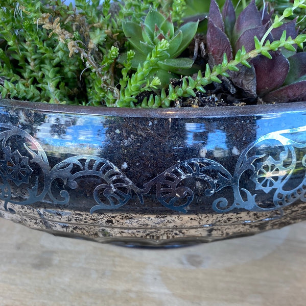 Skull, Rose Quartz & Succulent in Cambridge Bowl w/ Silver Lace